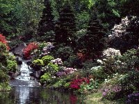 赤城自然園画像