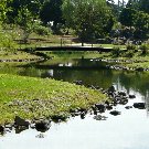 昭和記念公園こもれびの池